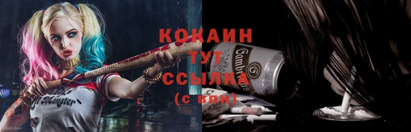 хмурый Вяземский