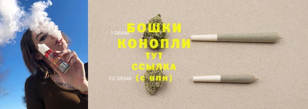 хмурый Вяземский