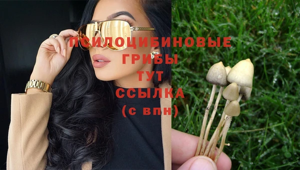 хмурый Вяземский