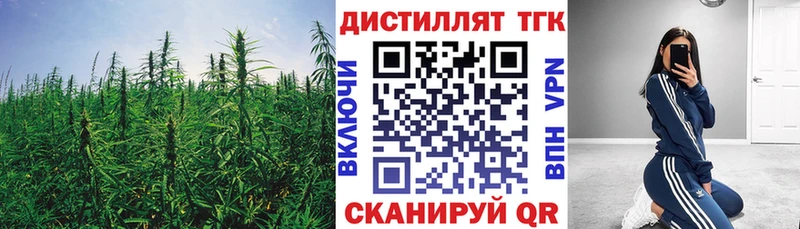 KRAKEN как зайти  как найти закладки  Елец  Дистиллят ТГК THC oil 